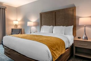 Comfort Inn & Suites Jacksonville - Orange Park Near Naval Air Station - 3