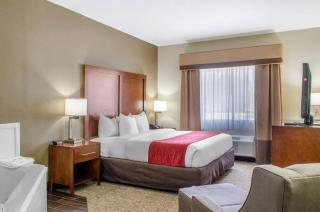 Comfort Inn & Suites Covington - Mandeville - 3