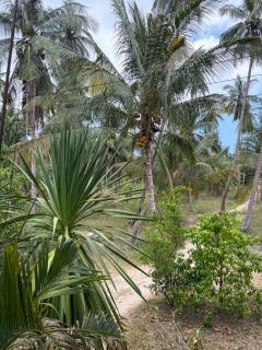 Smart TV, 2 Aircons, King Bed, Hammock, Fast Wifi - 4