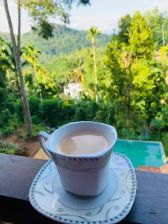 Tea land nature resort & eco cabana - 8