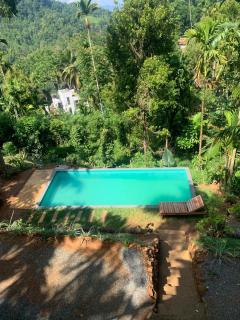 Tea land nature resort & eco cabana - 4