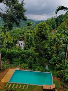 Tea land nature resort & eco cabana - 1