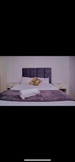 ShanazNest - 5
