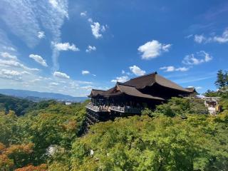 203新築セール黒門市場1分!道頓堀まで徒歩8分!心斎橋まで徒歩9分! - 5