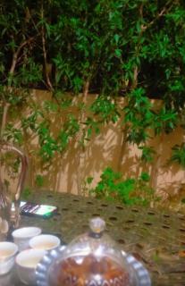 قرية الجوهرة راس الحكمه - 3