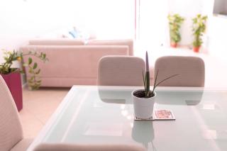 Apartment Q - 1