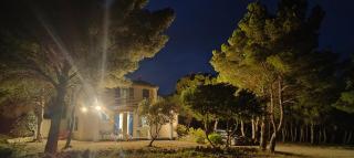 Mas de Caussagues, la Presqu'ile - 6