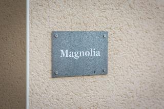 Magnolia - Le Jardin des Plantes - 7