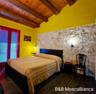 B&B Mosca Bianca - 5