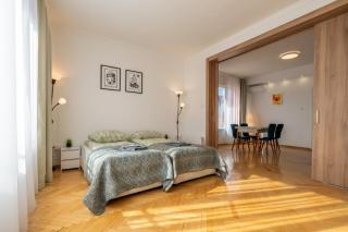 Bright & Spacious Downtown Apt. - 1