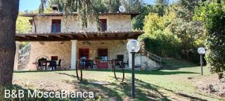 B&B Mosca Bianca - 9