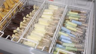 Dormy Inn Wakkanai - 6