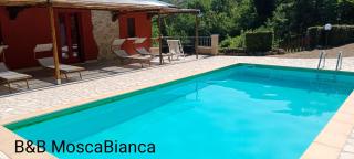 B&B Mosca Bianca - 2