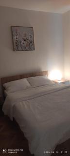 Gal Apartments - 3