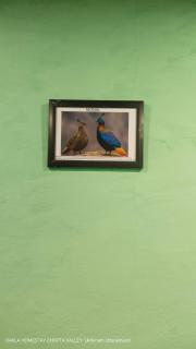 OAKLA HOMESTAY Chopta Valley - 4
