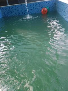 Pondicherry Greenfields-Farm Stay-Villa-Swimming pool - 8