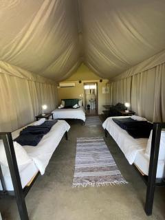 Kameeldoring Camping & Tented Chalets - 6