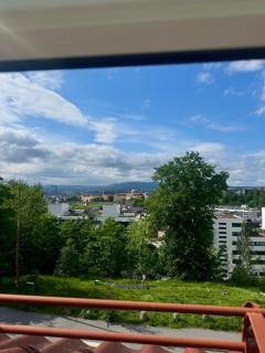 Bright 2BR Retreat close to Norway Cup - 4