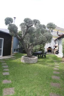 Villa Joanna Seasides , Top Floor - 8