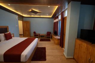 The Sana Cottge, Manali - Affordable Luxury Stay in Manali - 7