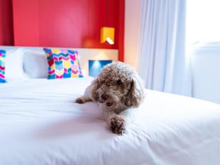ibis Styles Campina Grande - 1