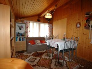 holiday home in Wilderswil with garden - Wilderswil - 9