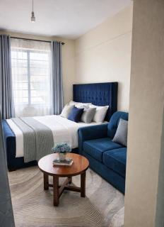 Elegant studio blue stays - 0