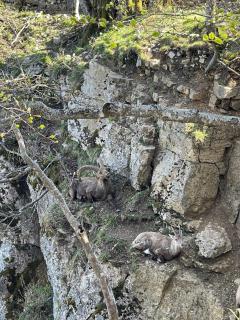 La Porrettaz d'en Haut 1 - 3