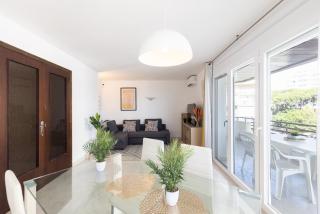 Capote Family Beachfront Rentalmar - 7