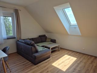 Travel & Bike Apartments an der Donau - mit WLAN & Bike Garage - 1