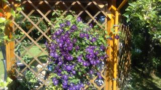 Ubytování - Žáková - 5