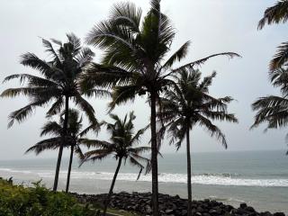 Kallolam By the Beach - 1