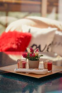 Villa Mladost Luxury - 1