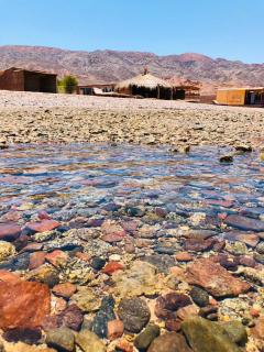 Reef Beach Camp - 6