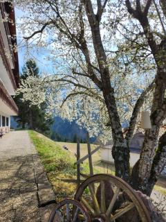 Der Alpenfrieden - 7