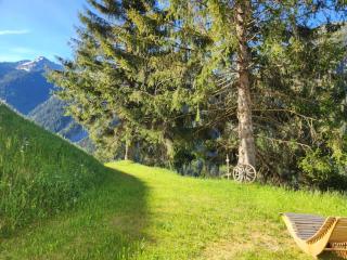 Der Alpenfrieden - 2