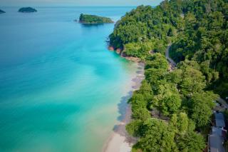 Beach Jungle - 4