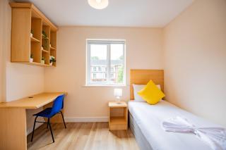 4 Bedrooms - Limerick Campus & High-Speed Wi-Fi - 5