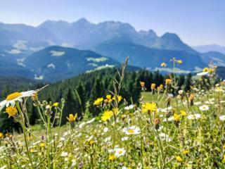 Apartment Gsenger Natur in Abtenau by Interhome - 7