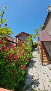 Cozy nest , apartment with 4 bedrooms, entire apartmanet - 5