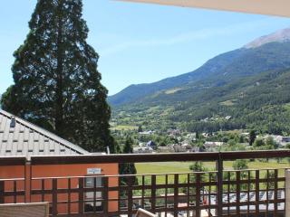 Studio 4 pers avec terrasse et animaux admis - FR-1-165B-16 - 1