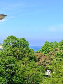 Zentrales Boutique Apartment im Zentrum von Bregenz - 5