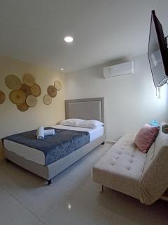 Olamar Caribe D102 - 1