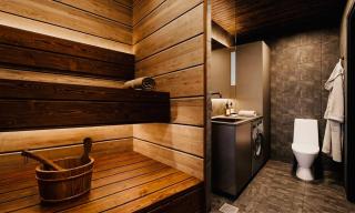 Aurora Riverside Lodge, sauna, near Arctic Circle - 7