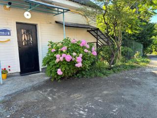 Almadovarhouse - 2