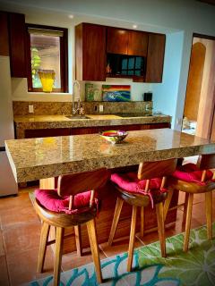 1 bdrm condo, Manzanillo Bay, Troncones - 1