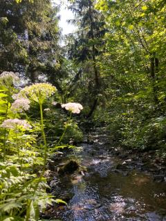 Domek w Gorcach - 8