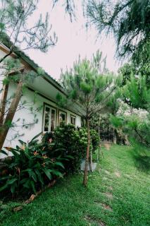 U Lesa Retreat - Nhà Bên Rừng - 7
