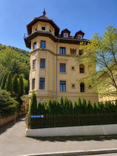 Albert Authentic Heritage Retreat - Historic Views & Private Parking - 7