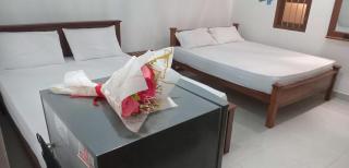 Mihinsa Guest - 9